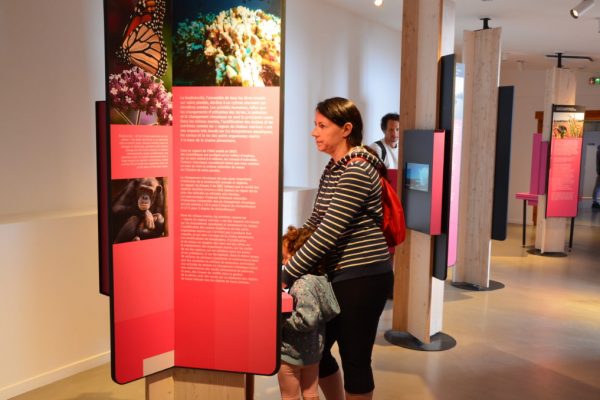Les parents accompagnent les enfants dans cette exposition sur le climat